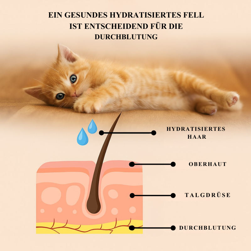 SteamyPfote™ – Die stressfreie Dampfbürste für dein Haustier