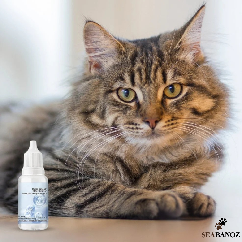 SteamySerum™ – Für glänzendes Fell ohne Baden
