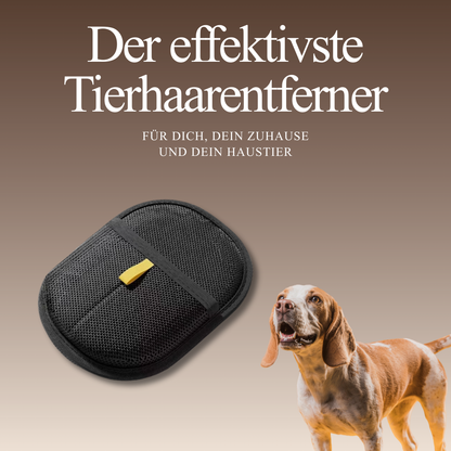 PfotenRein™ - Der ultimative Tierhaarentferner